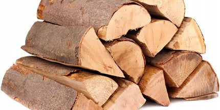 Collection image for: Haagbeuk & beukenhout