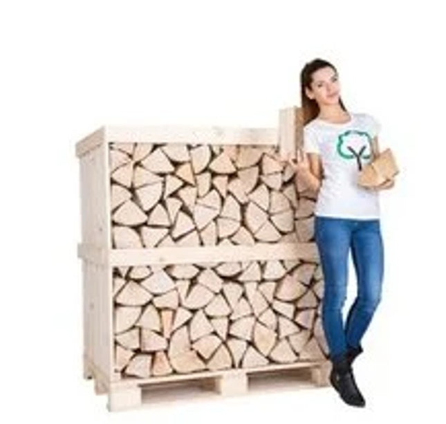 1 pallet Beuk ovengedroogd 1m3-30cm