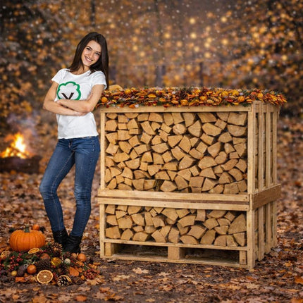 Collection image for: Brandhout ovengedroogd 1m3