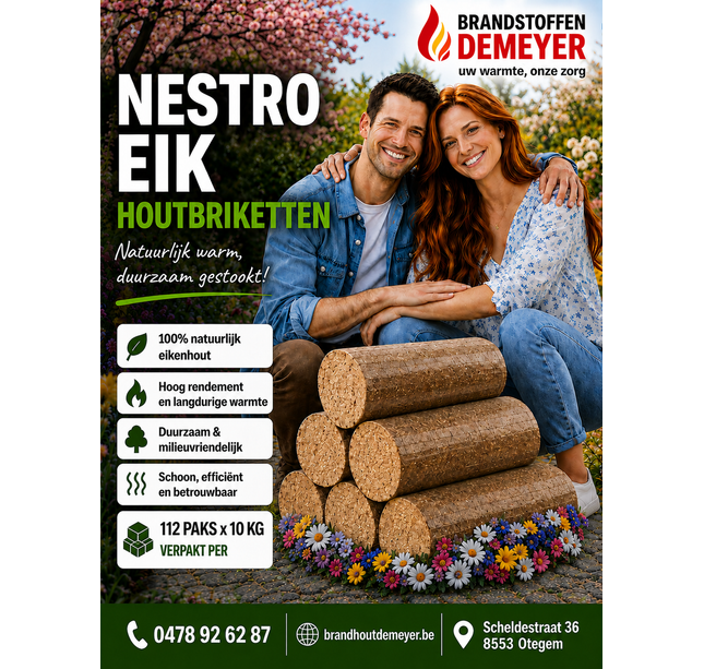 1 BRIQUE DE CHÊNE PAL NESTRO 96X10KG