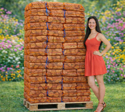 1 pallet berk ovengedroogd 60x40L(15kg)-25cm