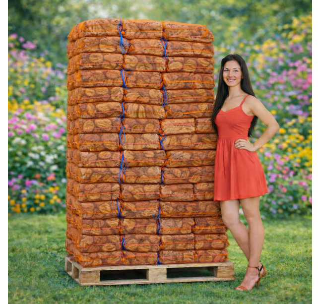 1 pallet berk ovengedroogd 60x40L(15kg)-25cm
