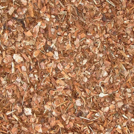 Collection image for: Boomschors